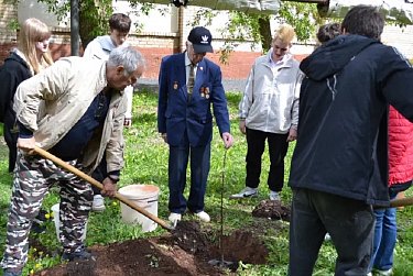 Дети войны – детям мира